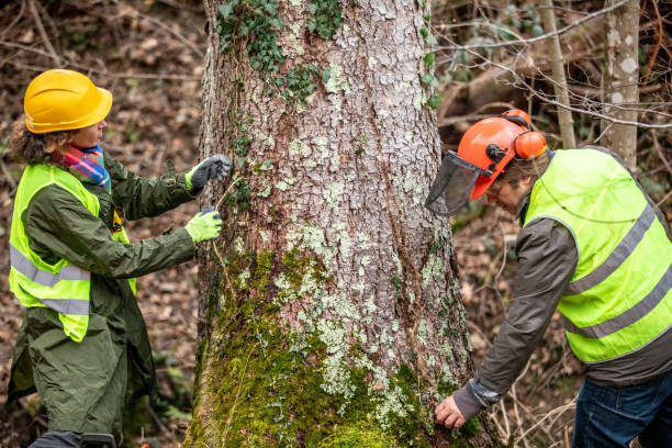 Best Tree Preservation Services  in Garrison, TX